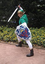 Cosplay-Cover: Link