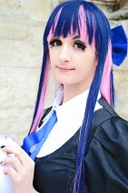 Cosplay-Cover: Stocking Anarchy [Basic]