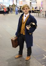 Cosplay-Cover: Newt Scamander