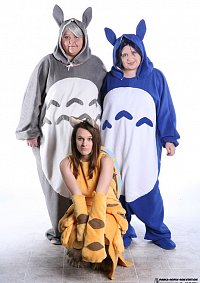 Cosplay-Cover: Totoro (blau)