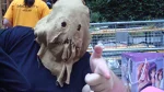 Foto des Kostüms