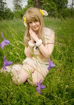 Cosplay-Cover: Kotori Minami (Sheep)