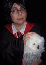 Cosplay-Cover: Harry Potter