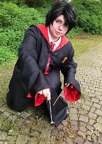 Cosplay-Cover: Harry Potter