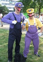 Cosplay-Cover: Waluigi