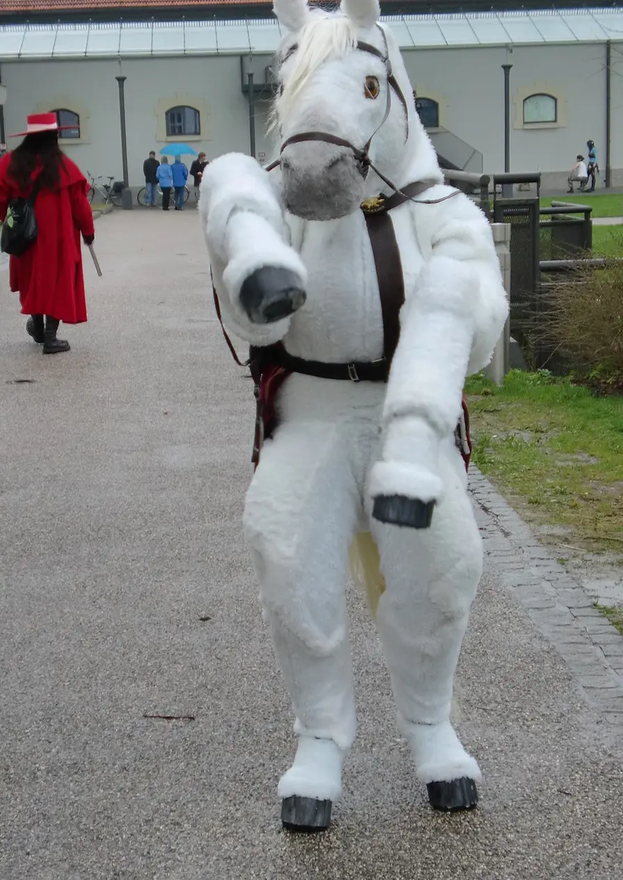 Cosplay-Cover: Maximus