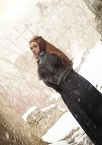 Cosplay-Cover: Sansa Stark (Staffel 7)