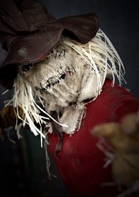 Cosplay-Cover: Scarecrow [animated series]