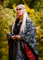 Cosplay-Cover: Thranduil