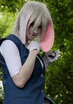 Cosplay-Cover: White Rabbit (erster versuch)