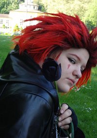 Cosplay-Cover: Axel No.VIII