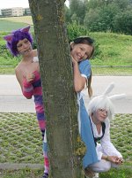 Cosplay-Cover: Hase