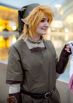 Cosplay-Cover: Link