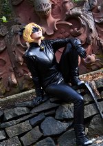 Cosplay-Cover: Cat Noir