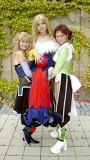 Top-3-Foto - von Elsch