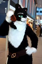 Cosplay-Cover: Kitty Samtpfote