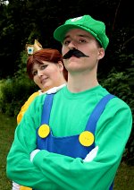 Cosplay-Cover: Luigi