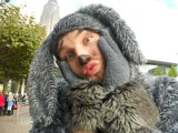 Top-3-Foto - von Bananenmonster