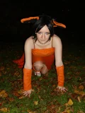 Top-3-Foto - von Pharao77