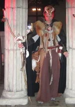 Cosplay-Cover: Druidin