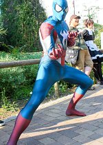 Cosplay-Cover: Captain Spider-Man