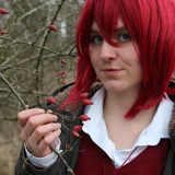 Top-3-Foto - von Knightwalker