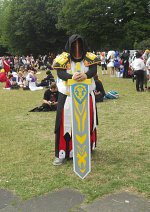 Cosplay-Cover: Paladin in T2