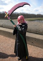 Cosplay-Cover: Marluxia orga style