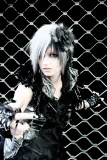 Top-3-Foto - von Jill