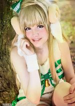 Cosplay-Cover: Kotori ~*Animal*~