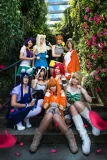 Top-3-Foto - von Shinta