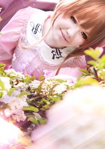 Cosplay-Cover: Sakura *   ੈ✩‧₊˚*Picknick   ੈ✩‧₊