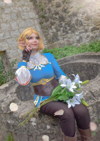 Cosplay-Cover: Zelda ~*botw*~