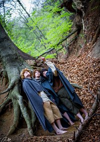 Cosplay-Cover: Peregrin Tuk [Pippin]