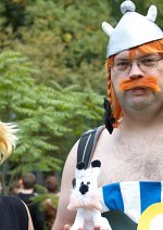 Cosplay-Cover: Asterix