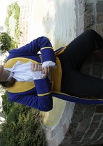 Cosplay-Cover: Prince Adam