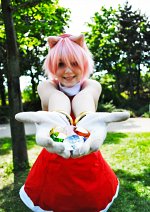 Cosplay-Cover: Amy Rose (old)