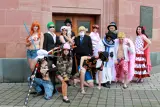 Top-3-Foto - von AmySwan