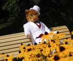 Foto des Kostüms