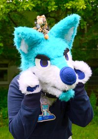 Cosplay-Cover: Finn the blue Husky