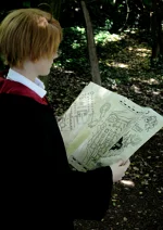 Cosplay-Cover: America / USA Alfred F. Jones - Gryffindor