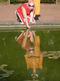 Top-3-Foto - von Nor