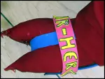 Foto des Kostüms