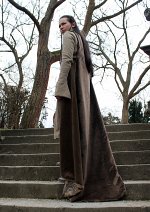 Cosplay-Cover: Elrond [Hobbit]