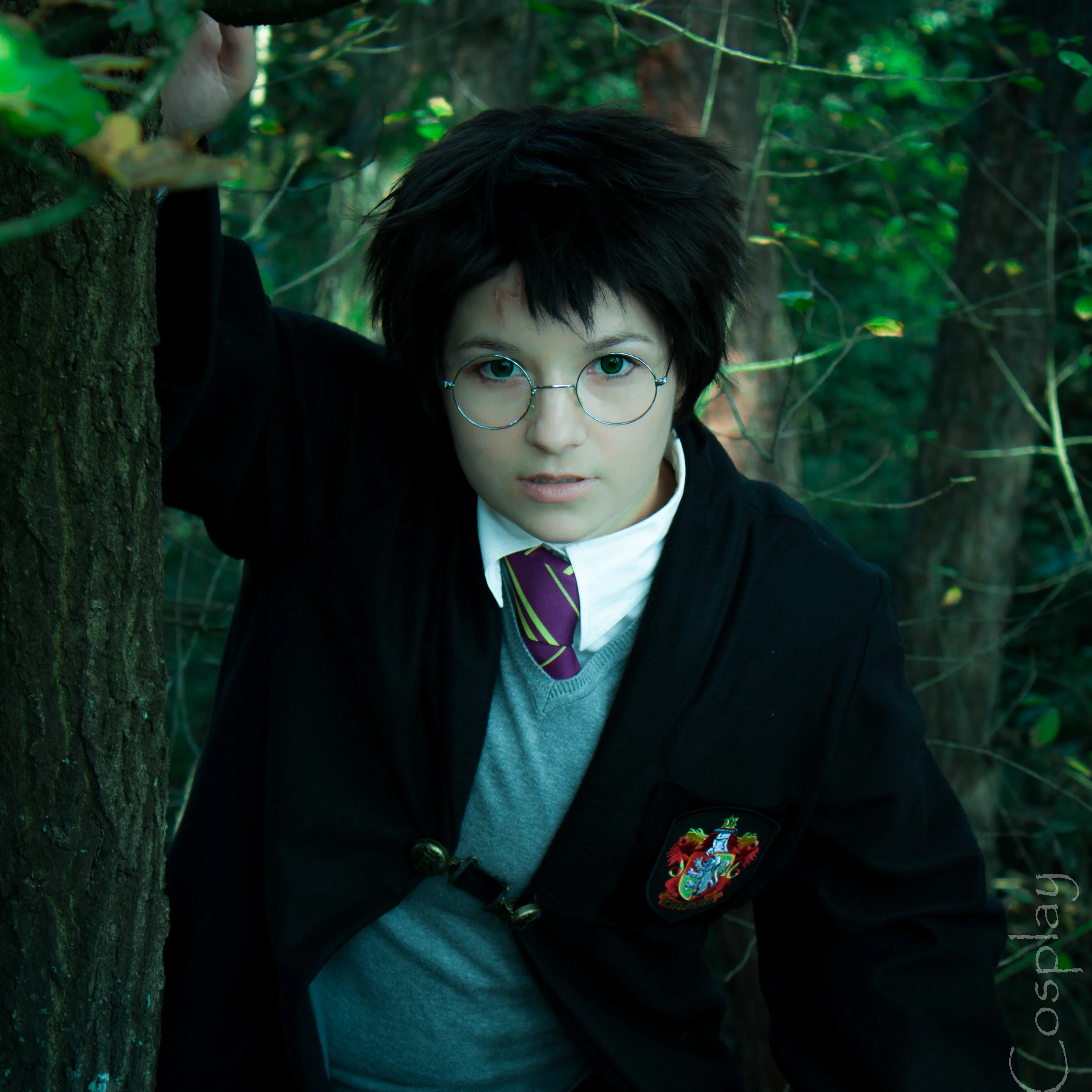Cosplay: Harry Potter (Kammer des Schreckens)