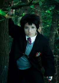 Cosplay-Cover: Harry Potter (Kammer des Schreckens)