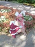 Top-3-Foto - von chibiyuni