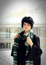 Cosplay-Cover: Regulus Arcturus Black