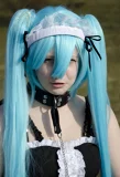 Top-3-Foto - von Ray_kun