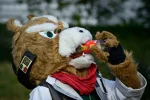 Foto des Kostüms